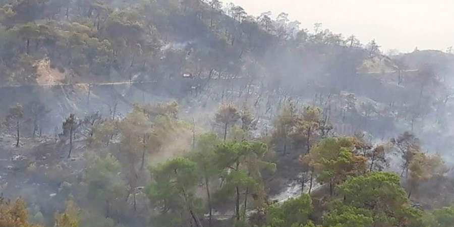 Η Ολομέλεια με ψήφισμα καταδικάζει τους εμπρησμούς στο Κρατικό Δάσος του Ακάμα